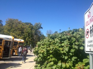Buses wait in the West Lot after school for students with “No Idling” signs lining the sidewalk. The signs were added this school year in light of recent state legislation according to Ron Farrand, director of facilities and transportation. DHRUTI PATEL / PHOTO