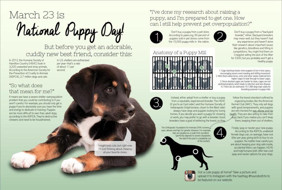 March 23 is National Puppy Day