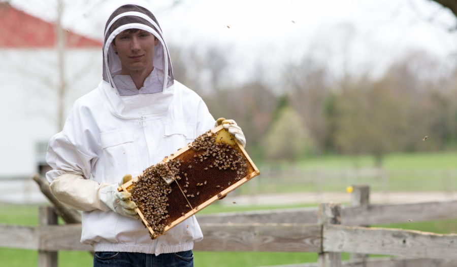 BEE-HOLD THE BUZZ: Senior Kyle Betelak is a beekeeper
