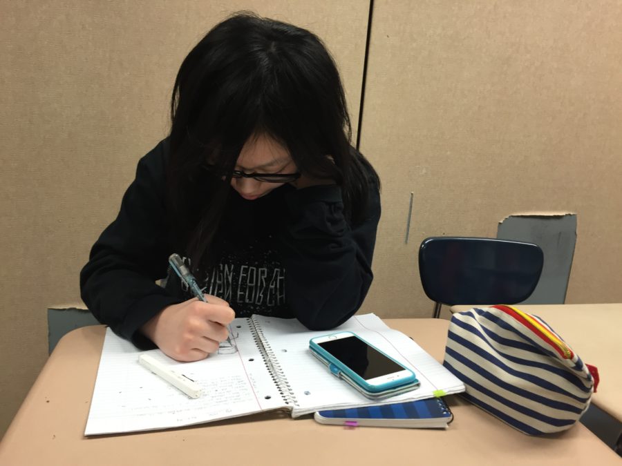 Carly Chia, Typography and Design Clubs vice president and sophomore, works on her homework during SRT. She said she and members will learn how to watercolor so she and members could create cards and crafts with watercolor. PHOTO/ JASMINE LAM
