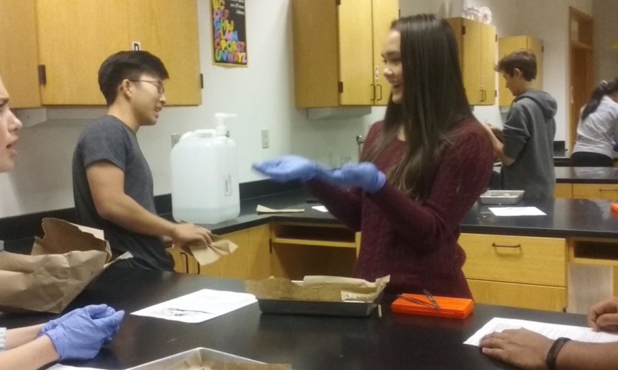 Co-president and senior Kate Adaniya laughed with another club member during their dissection last meeting. She says her favorite parts of meetings are when she gets to interact with other club members and said she is looking forward to the clubs party because of that.