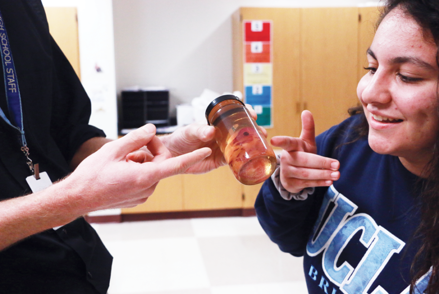 Sophomore Elissa Hage looks at a jarred specimen with her teacher during her principles of biomedical science class. Hage said she enjoys pairing her class with her internship.