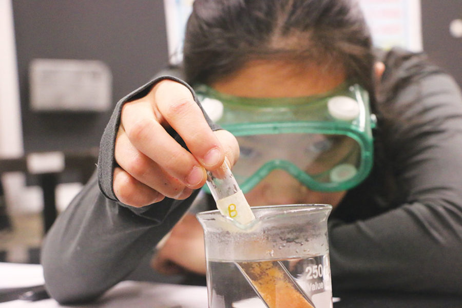 GOGGLES ON: 
Iris Yan, Chemistry Club officer and sophomore, drops a test tube into cold water for  an experiment in AP Chemistry. Yan said students will learn to like science through the club’s competitions.
