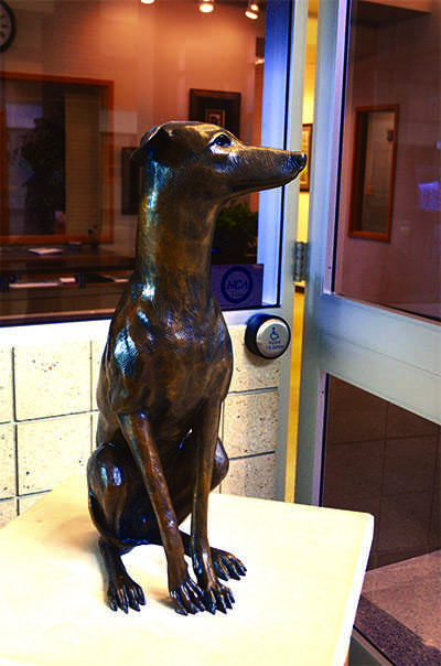 SITTING STILL:
The Greyhound statue sits in the commons for the CHS students to see.  The statue reminds students of the CHS goals, morals, and history.
Sam Shi | Photo
