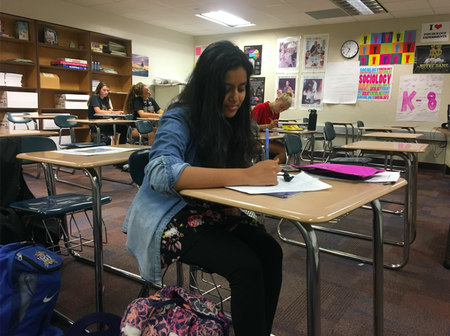 Mentor and senior Fareeha Mouzan works on her homework in SRT. It is her first year as a K-8 Mentor, and she said shes excited to work with the students.
