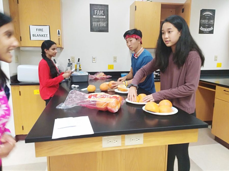 Co-president and senior Mae Shu and other leaders of the club prepared grapefruits for the suturing meeting. Shu said, I really like that this meeting was kind of chill. We didnt have everything planned, but it still turned out well and people had fun.