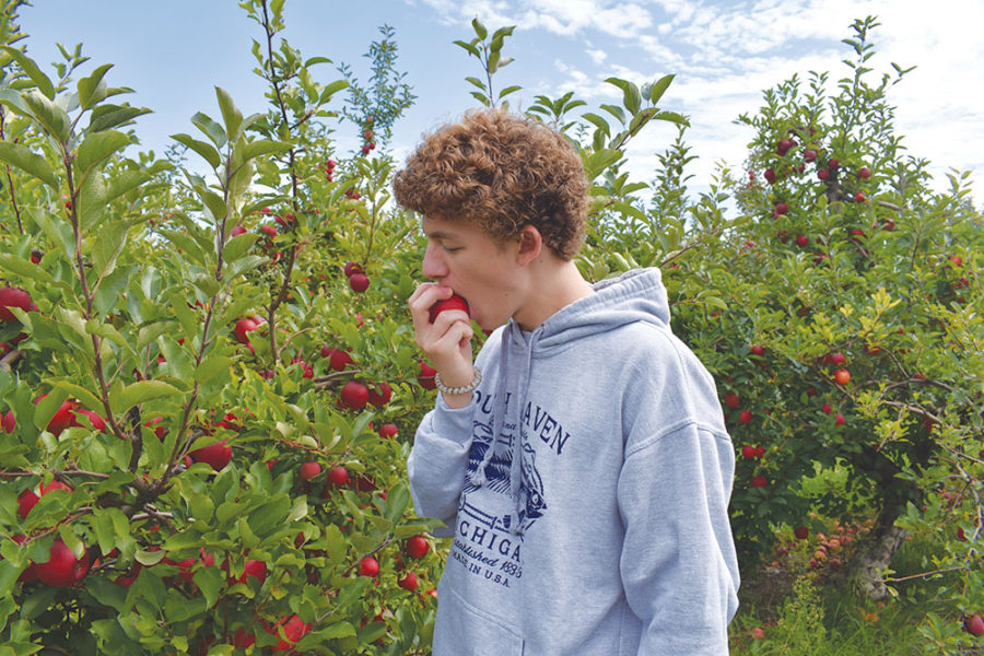 Junior Zach Berman bites down on one of the apples from Stuckey Farm’s apple orchards. Stuckey Farms has around 4,000 trees and boasts 27 different types of apples, as well as a 15-acre pumpkin patch, an eight-acre corn maze and many more activities. 