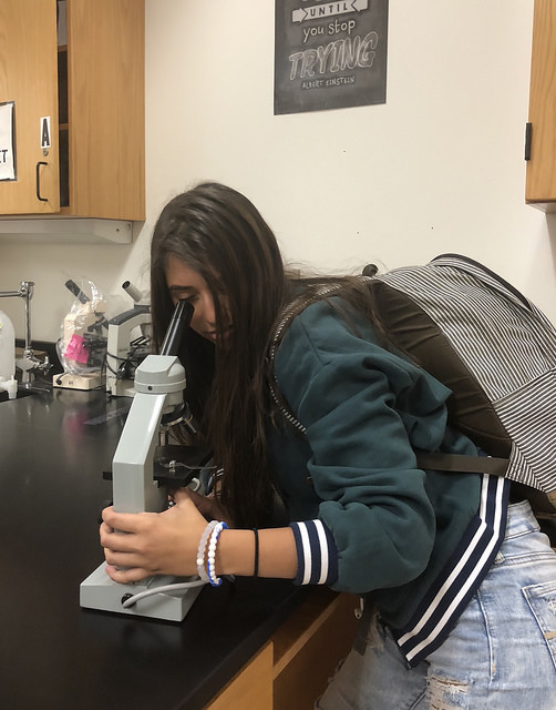 Forensic Findings: Sophomore Michelle Boulous adjusts a microscope during a Biomed project. The project requires students to use many technical skills such as adjusting the focus and lighting on microscopes. Boulous has a passion for science and aspires to be a doctor when she is older. Boulous says she is inspired by both her parents that are oncologists at Community Hospital. Biomed is one of the many science classes offered to sophomores at CHS.