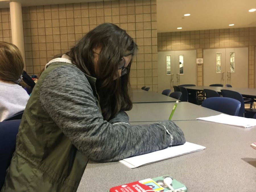 Katelyn Wang, speech team member and sophomore, works on a piece for the next speech team competition. Wang said she is excited this year because old and new members are all getting along well. “We’re really bonding as a team and forming long lasting relationships,” she said.  