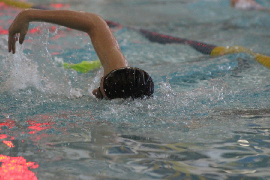 Swimmer and senior Andrew Rafalko practices for his upcoming meet. He has been on the swim team for the past four years and has committed to swim at University of North Carolina.