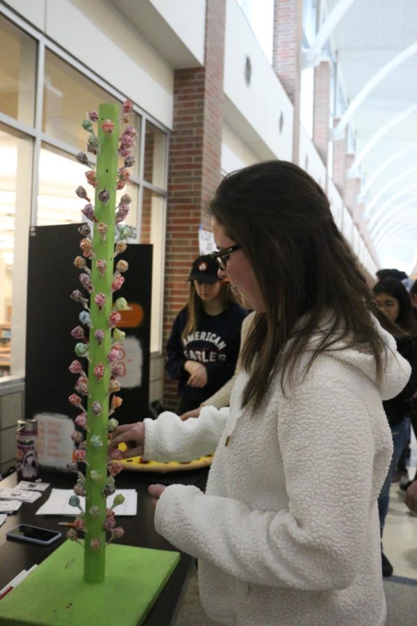 A student at the Statistics Carnival pulls a sucker from a lollipop tree.