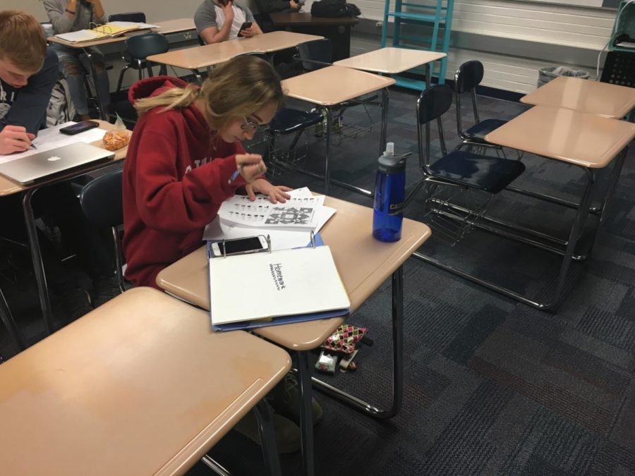 Riley Judson, AVID student and junior, completes her homework during SRT. She said, “AVID helps me organize and it helps me really know how to actually study. It also helps me to know the right things to prepare for class. These are things that are really helpful when I am studying.”