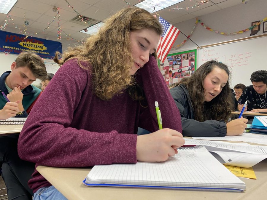 Sarah Konrad, TEDx president and junior, works on a math assignment during class. Konrad said she encourages all interested students to come to the TEDx speaker auditions, which are tentatively scheduled for late January.