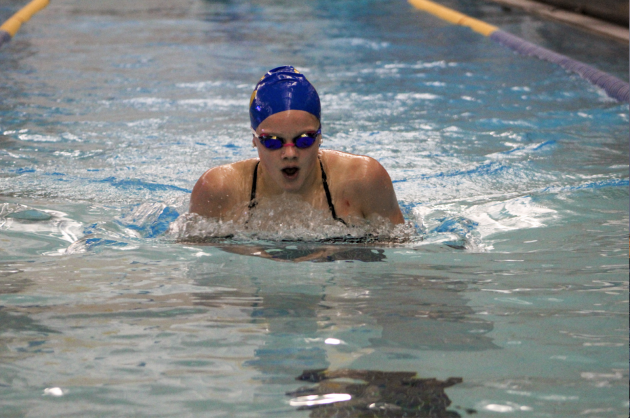 BREAST+STROKE%3A+Swimmer+and+freshman+Berit+Berglund%2C+swims+breastroke+at+the+Carmel-+HSE+dual+meet+on+Dec.+17.+Berglund+said+despite+having+experience+swimming+with+Carmel+Swim+Club+in+previous+years%2C+she+has+felt+new+pressures+since+joining+the+women%E2%80%99s+swimming+team+as+a+freshman.+She+added+that+the+high+school+team+is+more+competitive+and+serious+than+she+experienced+in+the+Carmel+Swim+Club.