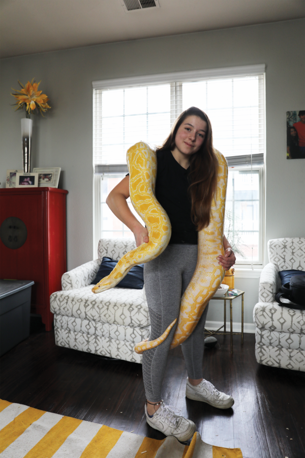 Venckus holds Virginia, an albino Burmese python. She said during shows, the audience is allowed to pet all of the animals including a legless lizard and hissing cockroaches.