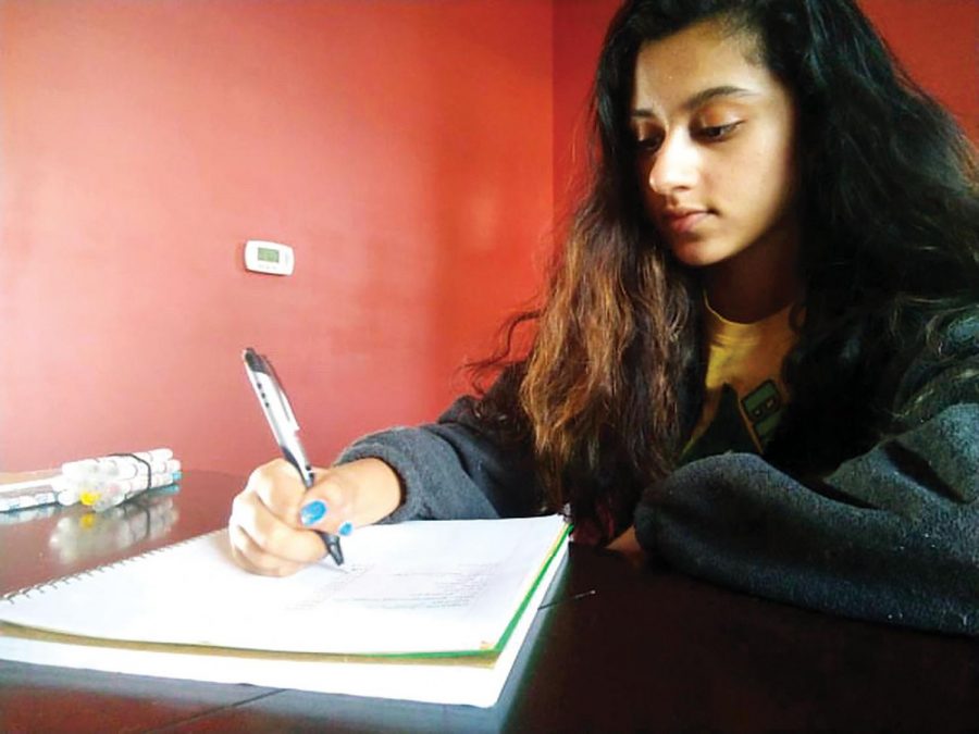 Senior Nishita Prasad writes down her to do list in a notebook to stay oranized and to make sure she gets all the points on her list done and to not stress out with all her school work and extracurriculars.