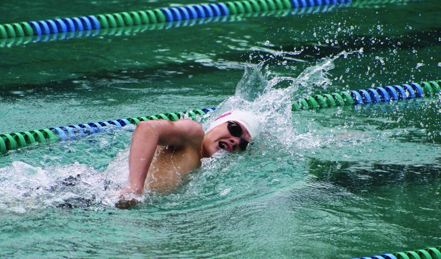Junior Connor Lathrop swims the freestyle stroke at the 91st Ohio Valley Championships in 2019. Lathrop said he finds the cancelling of recent swim meets to show that the IHSAA is still uncertain of having a sectional or  state championship. Head Coach Chris Plumb said the team has not been able to travel as much as in the past.