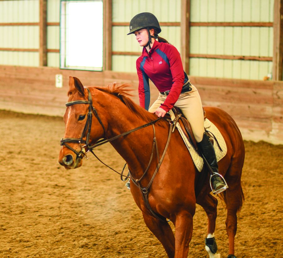 ROUTINE+RIDE%3A+Clare+Leedke%2C+horseback+rider+and+sophomore%2C+controls+her+horse+on+a+practice+ride.+According+to+Leedke%2C+controlling+a+galloping+horse+while+riding+is+much+harder+than+a+traditional+trail+ride.+