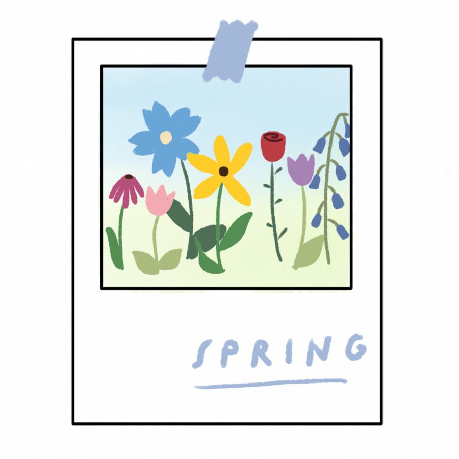 Music Playlist: Spring Beginnings [MUSE]