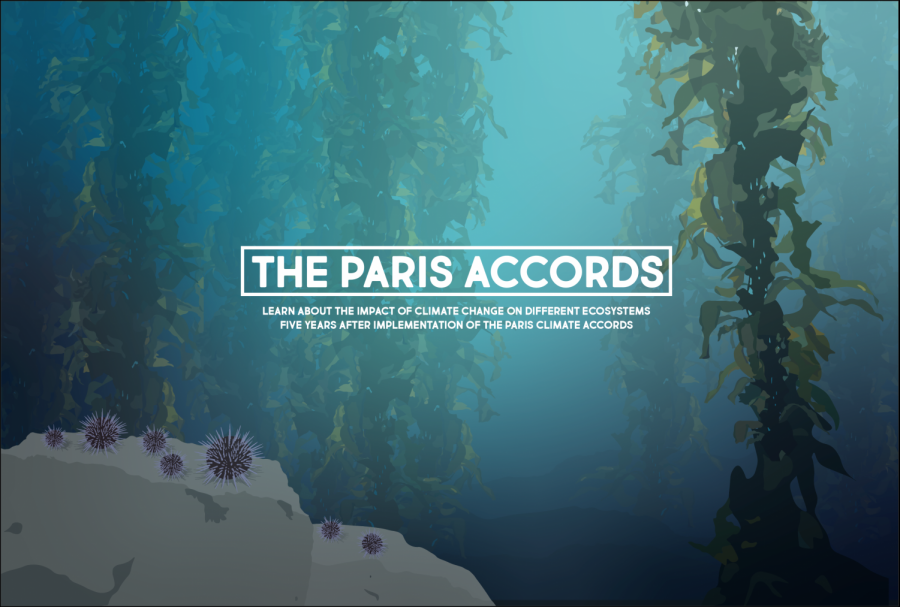 The Paris Accords