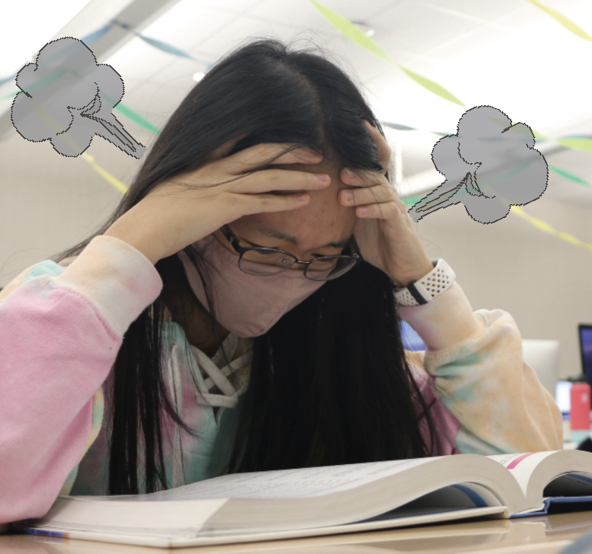 high stress: Sophomore Rosalyn Chu looks down at a calculus textbook. Chu said she is careful with the amount of time she spends playing video games so it will not interfere with her daily life. Many gamers claim to use video games to cope with life’s stress, but it has been proposed to spiral into a flawed sense of reality.