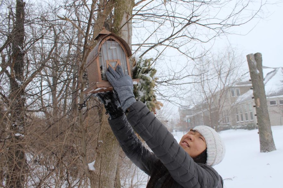 Sophomore Melinda Yong hangs up her bird-feeder in a tree behind her house. Yong said she uses the Audubon Society app to learn more about bird-watching.