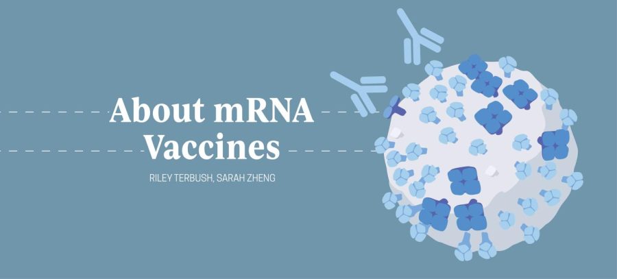 A Look at mRNA Vaccines