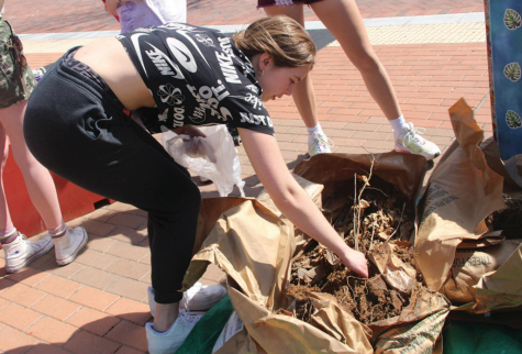 Sophomore Sara Standish picks up a tree sapling. Green Action Club (GAC) was giving out tree saplings as a part of city councilor Miles Nelsons 10,000 Trees in Carmel Campaign. 