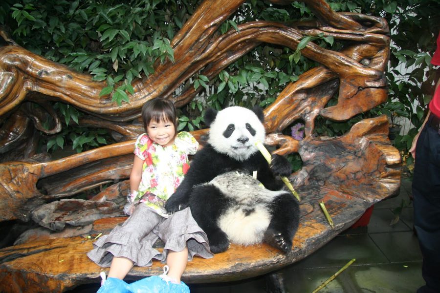 Emily Hahn poses with a panda in 2011 China. “When we went back to China when I was 6, a lot of people assumed I was a native speaker and tried to speak to me in chinese, but I didn’t understand it,” said Hahn. (Submitted Photo: Emily Hahn)
