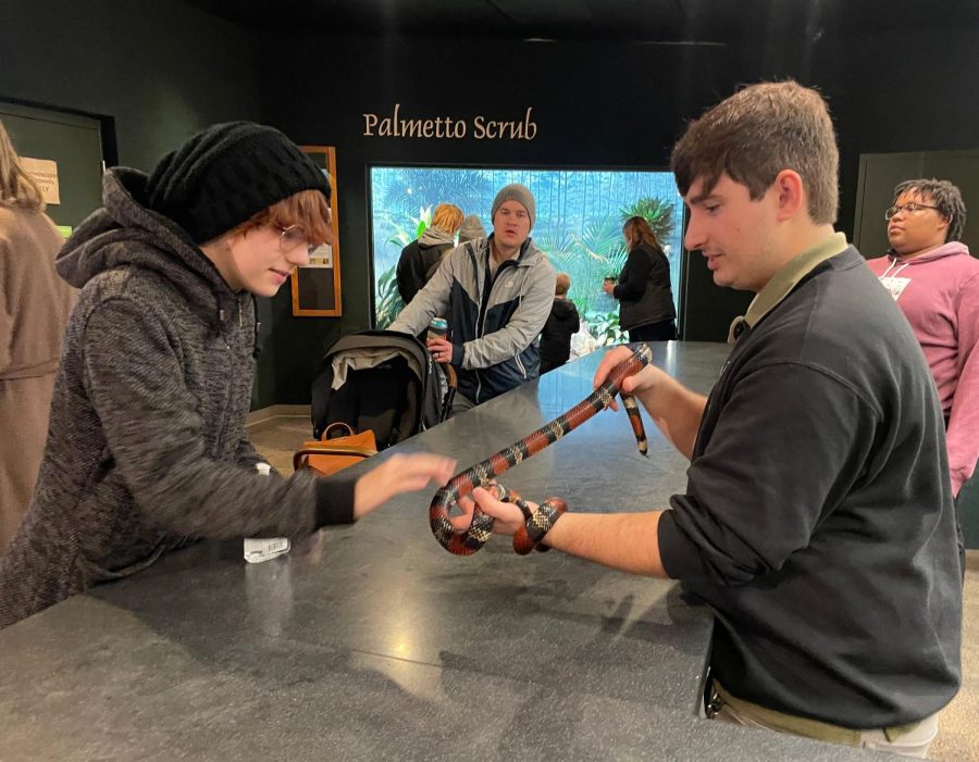A zookeeper holds a corn snake, a non venomous species, out for a young Holiday Zoo Lights attendee to touch. This is part of the event’s “creature encounters” program to encourage education about wildlife through hands-on learning.