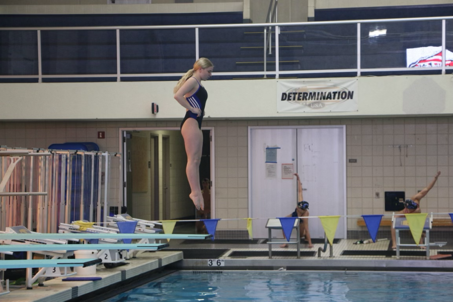 Freshman Helena Gibson dives into the pool during practice on Jan. 26. Assistant Coach Tom Burchill said the team is competing for its 37th consecutive State Title.
