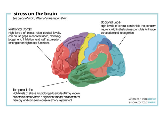 yesyesStress on Brain Graphic - Aksi