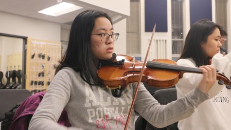 Rachel Wu, member of Symphony Orchestra and senior, looks up at Director of Orchestras Thomas Chen, as he conducts the Symphony Orchestra during after-school rehearsal.. According to Wu, “It’s important to pay attention to the conductor so we’re all playing on-beat.” 