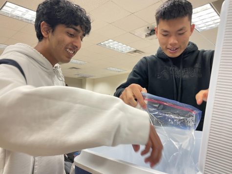 Juniors Hrithik Arcot (left) and Jonathan Yang (right) put ice into bags for people to freeze the milk in on April 20. Members of the chemistry club made ice cream since its a traditional experiment they do every year. “I always enjoy doing experiments in Chemistry Club, but the ice cream experiment is my favorite,” Yang said.