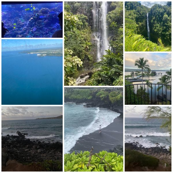 Postcards from Muse: Hawaii Travel Diary [MUSE]