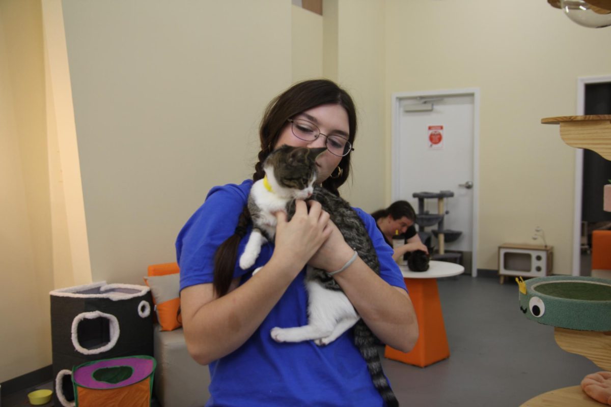 Jules Madrid, employee and café barista at the Pawz Pet Café in Carmel, hugs one of the many cats they have at the pet café tightly on Sept. 22, 2024. The café is continuing to take in more and more cats from Paws On My Heart Inc., the nonprofit rescue group that supplies Pawz with their cats. 