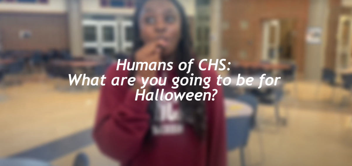 Humans of CHS: Halloween Costumes