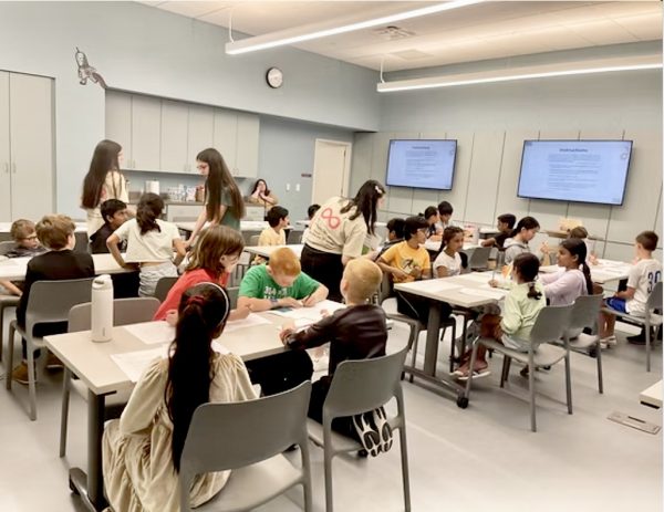 Junior Allison Shen gives a math lecture at Carmel Clay Public Library on Dec. 11. Shen said her non-profit aims to help students who struggle with math. 