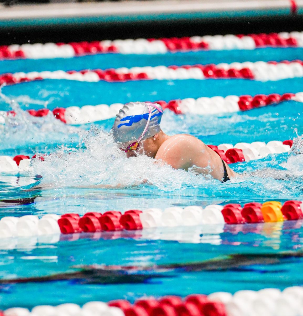 Senior Addy Czarnecki is doing her part for the team by swimming during a State Finals swim meet. During this swim meet CHS won and became the 2024 Swimming and Diving State Champions. (Submitted Photo: Addy Czarnecki)