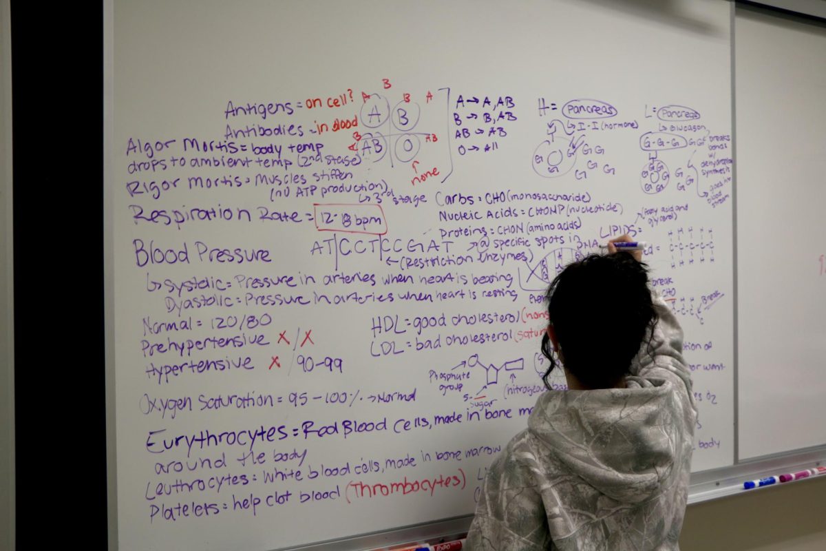 Students in Mr. Conley’s biomedical science class learning about the process and terminology of autopsies. Principles of Biomedical Science focuses on hands-on learning activities, allowing students to explore different biological concepts.